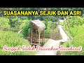 Download Lagu SUASANA || KAMPUNG YANG SEJUK DAN ASRI, BIKIN HATI TENTRAM DAN DAMAI  INDAHNYA PESAWAHAN JAWABARAT