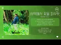 Woody (우디) - 사막에서 꽃을 피우듯 [가사]