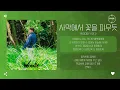 Download Lagu Woody (우디) - 사막에서 꽃을 피우듯 [가사]