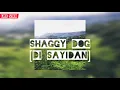Download Lagu SHAGGY DOG–Di Saydan [lirik Lagu]