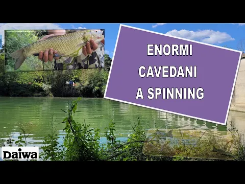 Cavedani a Spinning nelle Marche