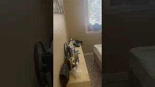                     دندنها