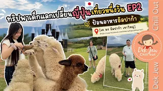 ทริปพาเด็กแลกเปลี่ยนญี่ปุ่นเที่ยวหนึ่งวัน EP2 ป้อนอาหารอัลปาก้า