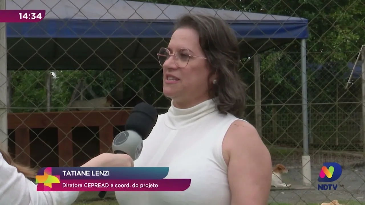 Mutirão de castração gratuita vai até quarta-feira em Blumenau