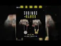 Subimos De Rango - Bad Bunny Ft Omy De Oro & Shotter Ledo