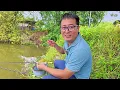 Download Lagu Câu đài hồ bán tự nhiên, chia sẻ bài mồi câu rô phi quấn ổ - Ngọc Biển Fishing