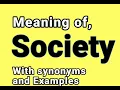 Society meaning Synonyms Synonyms of Society Examples in Sentences