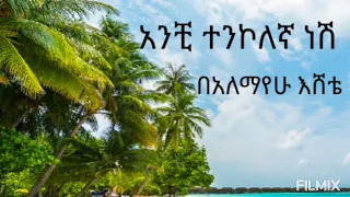 አንቺ ተንኮለኛ ነሽ አለማየሁ እሸቴ 