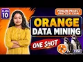 Orange Data Mining Class 10 AI Practical Palmer Penguin Classification Project One Shot CBSE