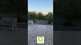 قصة عجيبة عن رؤيا رآها الإمام أبو حنيفة وفسرها له ابن سيرين مع أخبار أخرى دندنها