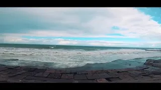 هنعيش ونشوف لينا شاماميان كارولين ايوب 