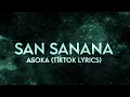 Download Lagu San Sanana - Asoka, Shah Rukh Khan, Kareena Kapoor (Full Lyrics) TikTok makeup trend