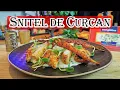 Download Lagu Snitel de Curcan cu Sos de Branza cu Mucegai - Edelpilz Bergader - Chef Florin Arvunescu