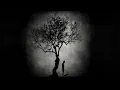 Download Lagu Farewell Life (Arn Andersson Remix) - Nights Amore