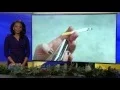 Brittany Noble Jones on WJTV 2015