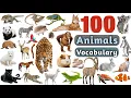 Download Lagu Animals Vocabulary In English ll 100 Animals Name In English With Pictures