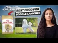 Royal Cannin For Poodle Caniche Review