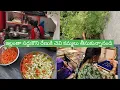 Download Lagu Vlog//ఇల్లంతా సర్దుకొని పిల్లల కోసం గోరింటాకు,పువ్వులు కోసిన // రేణుకి చెవిలి తీసుకున్నాము