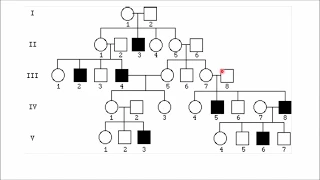 How to solve pedigree charts in 30 seconds