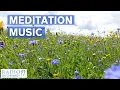 Download Lagu Meditation Music - Blue Flower