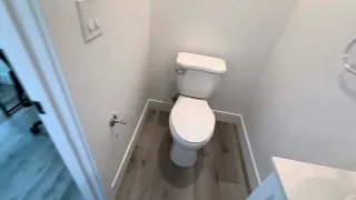                                             دندنها