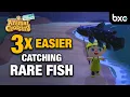 How to catch Rare Fish easy How to increase your Fishing Success Animal Crossing New Horizons