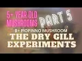 TGE Part 5 - Cleaning agar utilizing aerial mycelium