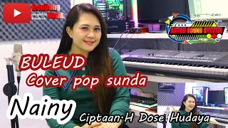 Download Buleud (Evi tamala) Cover Nainy MP3