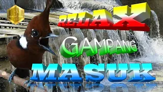 masteran suara cililin gacor nembak tajam jernih jeda air