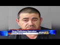 Drug bust in Pueblo Co