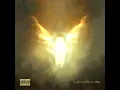 Raindance - Dave & Tems