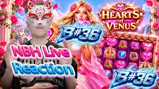 NBH B#36 Reflection 07.10 | Cíuuu Đc 310 Sông Có Khúc Người Có Lúc | Giải Trí Cùng NBH
