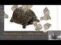 How to use Physics in Moho