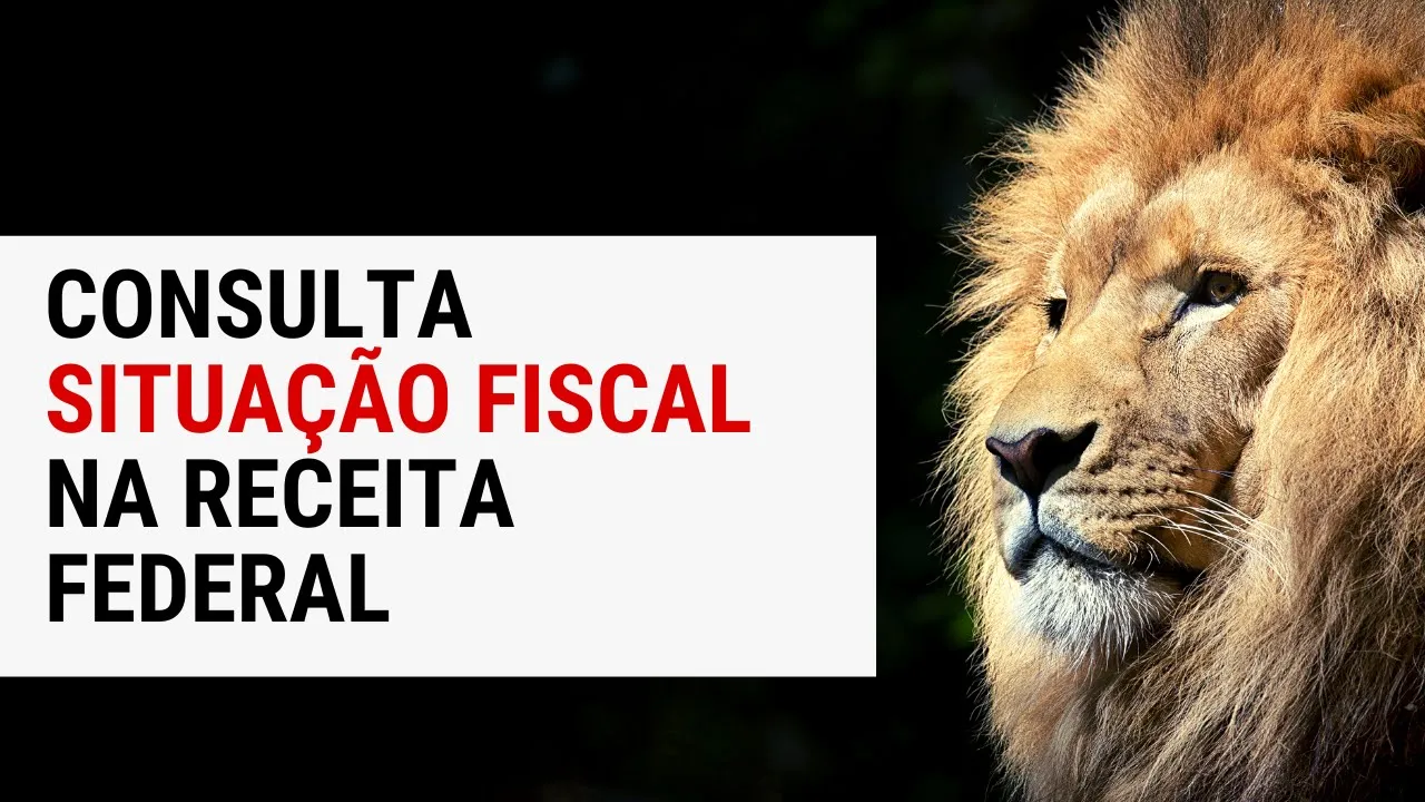 Consulta Situação Cadastral CPF