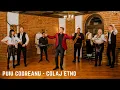 Download Lagu Puiu Codreanu - Colaj ETNO 2023
