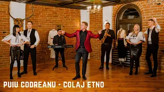 puiu codreanu colaj etno 2023