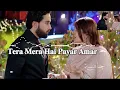 Download Lagu Tera Mera Hai Pyar Amar | Lyrics Full OST | Ft. Bilal Abbas | Durefishan | 𝐓𝐞𝐫𝐚 𝐌𝐞𝐫𝐚 𝐇𝐚𝐢..Song 2025