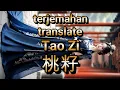 Lagu 【高清MV】L（桃籽）Tao Zi  下輩子如果再相遇 Xia bei zi ru guo zai xiang yu【Pinyin Lyrics + Eng Sub  繁體拼音英文動態字幕】