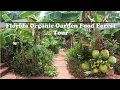 Florida Organic Edible Tropical Garden Food Forest Tour July Zone 10a