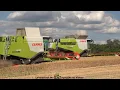 Download Lagu Claas - Hawe / Getreideernte - Grain Harvest