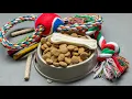 Pet Supplies Plus Expands Offerings to Include Prescription Products