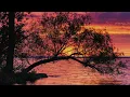 None But Jesus || 3 Hour Piano Instrumental for Prayer and Worship