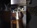 Download Lagu Opening a Bottle of Beer #asmr #asmrsound #asmrvideo