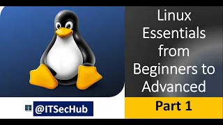 Linux Essentials Know how to change your Shell to Bash