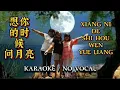 XIANG NI DE SHI HOU WEN YUE LIANG - 想你的时候问月亮 - Karaoke Female Key