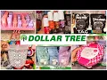 I TRIED A NEW DOLLAR TREE LOCATION I WAS PLEASANTLY SURPRISED