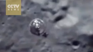 Pogledaj video: 