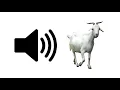 Goat - Sound Effect | ProSounds