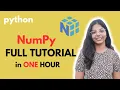 NumPy Full Tutorial in One Hour Step-by-Step Guide for Beginners