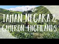 Lagu TAMAN NEGARA \u0026 CAMERON HIGHLANDS MALEISIË 🇲🇾 | DIT IS ECHT BACK TO BASIC | WERELDREIS VLOG 77